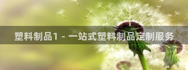 太阳阳城集团有限公司