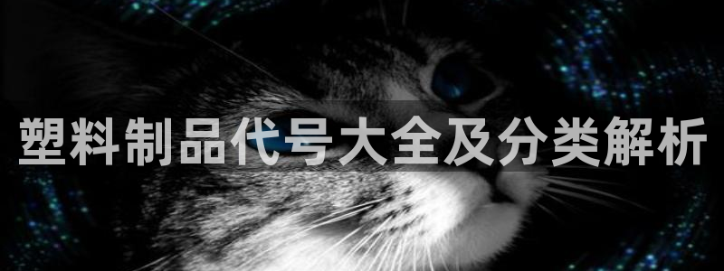 曲靖红太阳集团