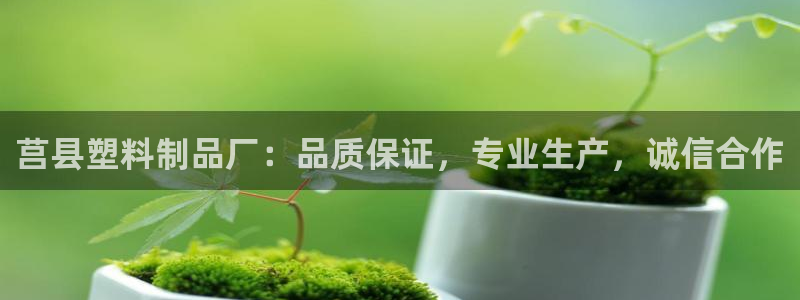 太阳影视公司