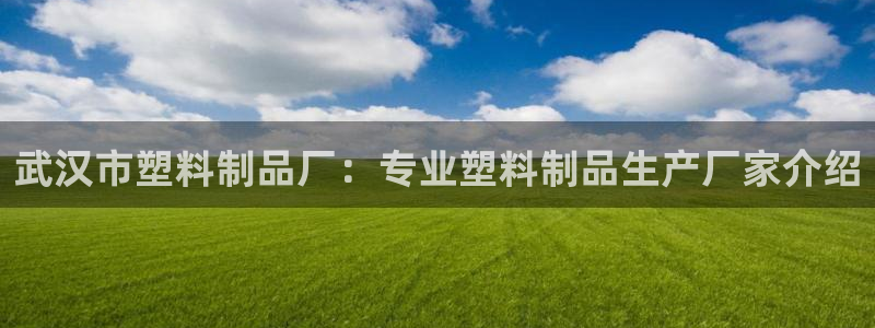 太阳集团电子游戏返还8元