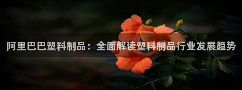 太阳gg平台地址