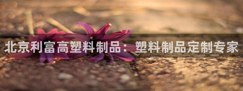 太阳集团股份有限公司是国企吗