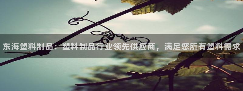 冷太阳演员表