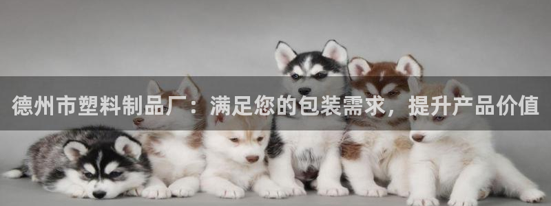 太阳成集团app下载