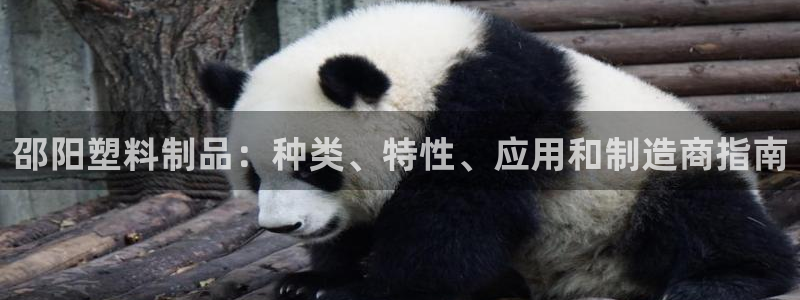 太阳诚集团有限公司是国企吗还是央企