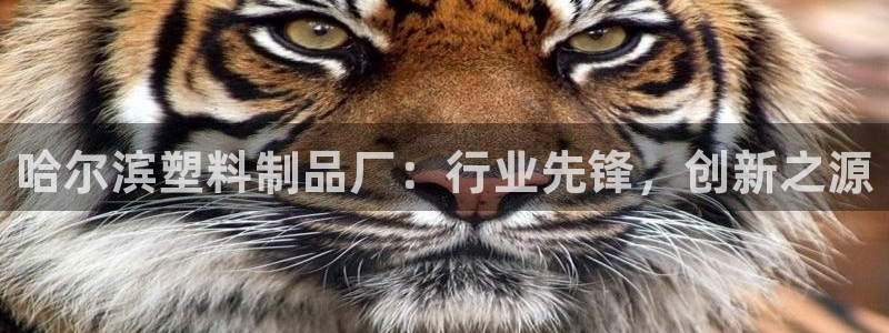 太阳集团网站古天乐代言