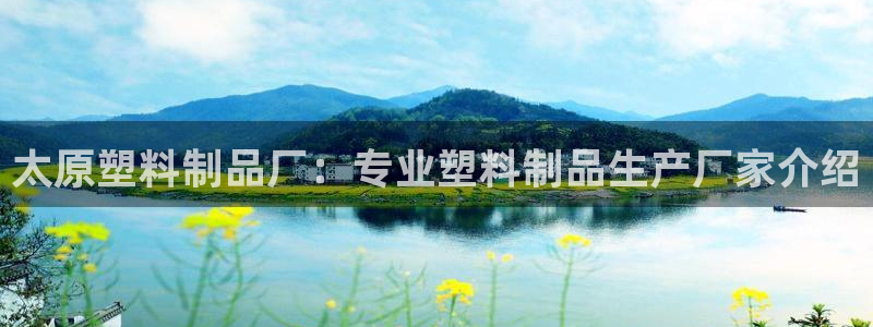 太阳集团公司董事长