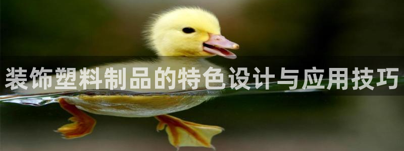 太阳成集团洗米华