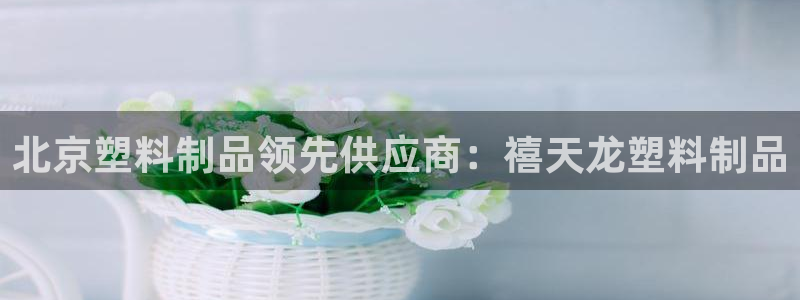 太阳成集团tyc33455cc