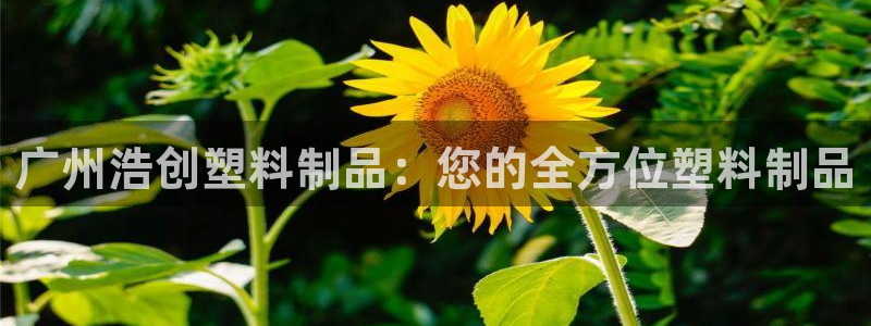 太阳集团游戏城