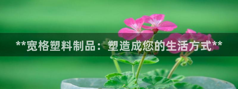 太阳集团电视剧