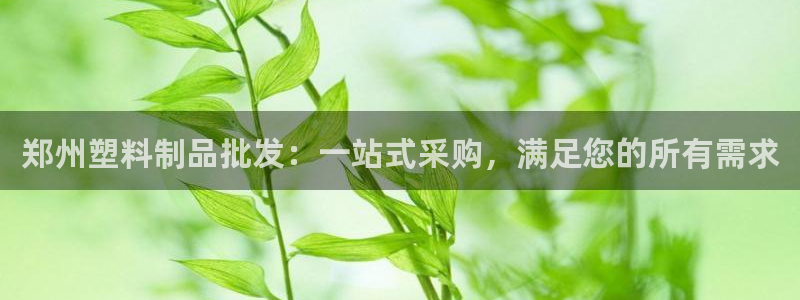 太阳集团的股价是多少