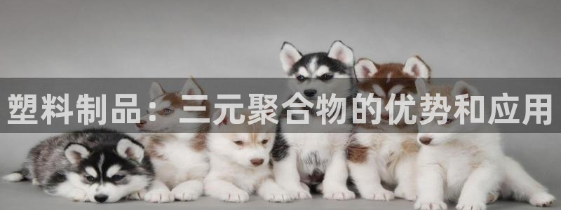 太阳成集团tyc33455cc