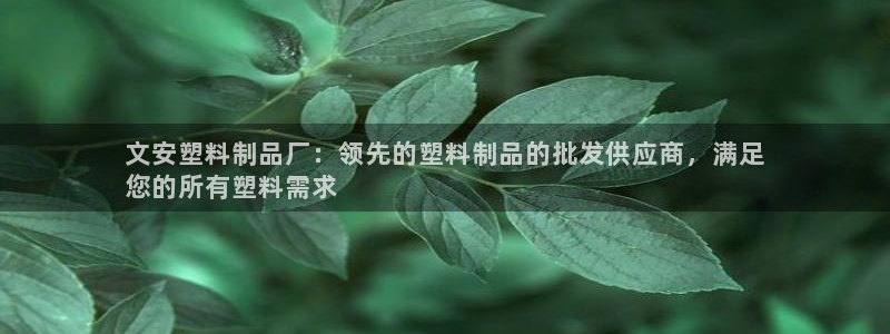 太阳集团游戏城旧版1382：文安塑料制品厂：领先的塑料制品的