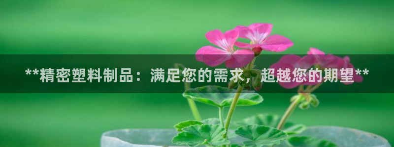 太阳集团游戏官方8722：**精密塑料制品：满足您的需求，超