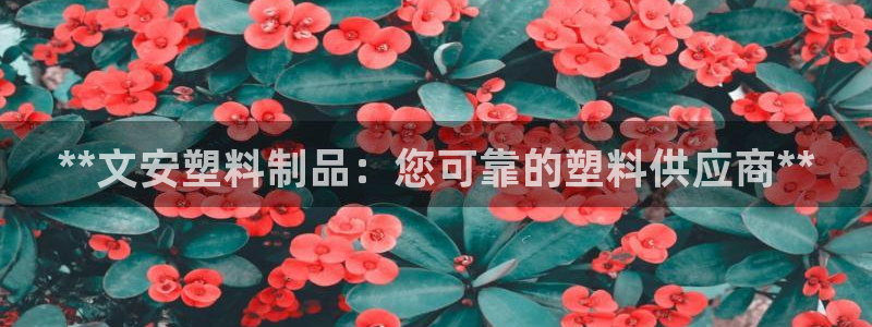 太阳集团3143：**文安塑料制品：您可靠的塑料供应商**