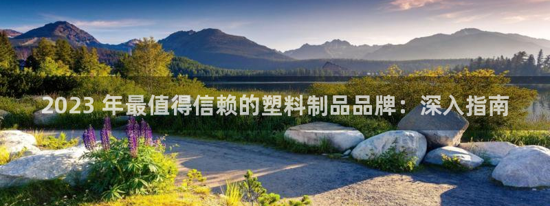 太阳集团城网址娱网首页：2023 年最值得信赖的塑料制品品牌