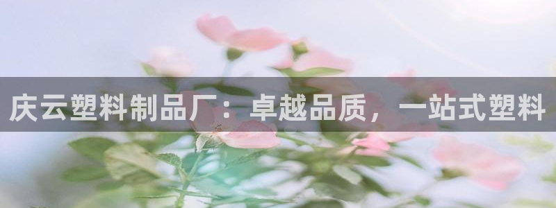 太阳集团娱乐场：庆云塑料制品厂：卓越品质，一站式塑料