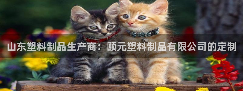 太阳集团网站古天乐代言的：山东塑料制品生产商：颐元塑料制品有