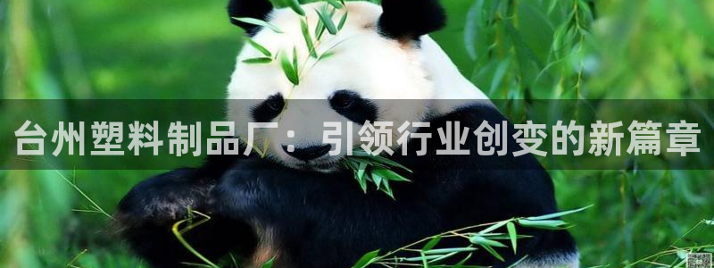 太阳集团手机app