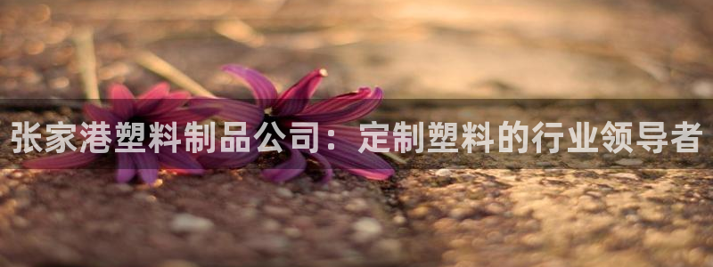 15vip太阳成集团