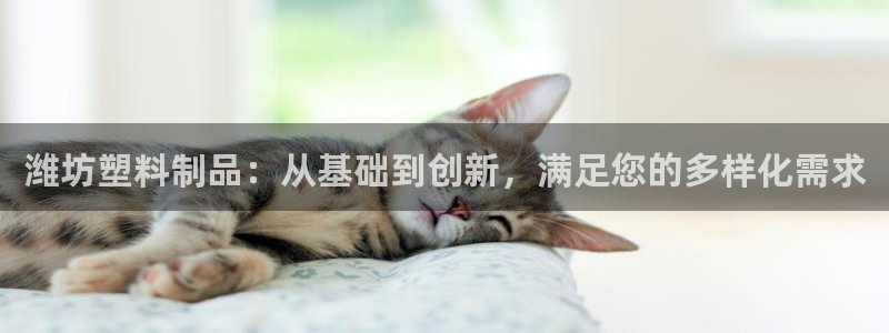 太阳诚集团有限公司有多少人：潍坊塑料制品：从基础到创新，满足