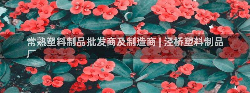 太阳2游戏娱乐官网